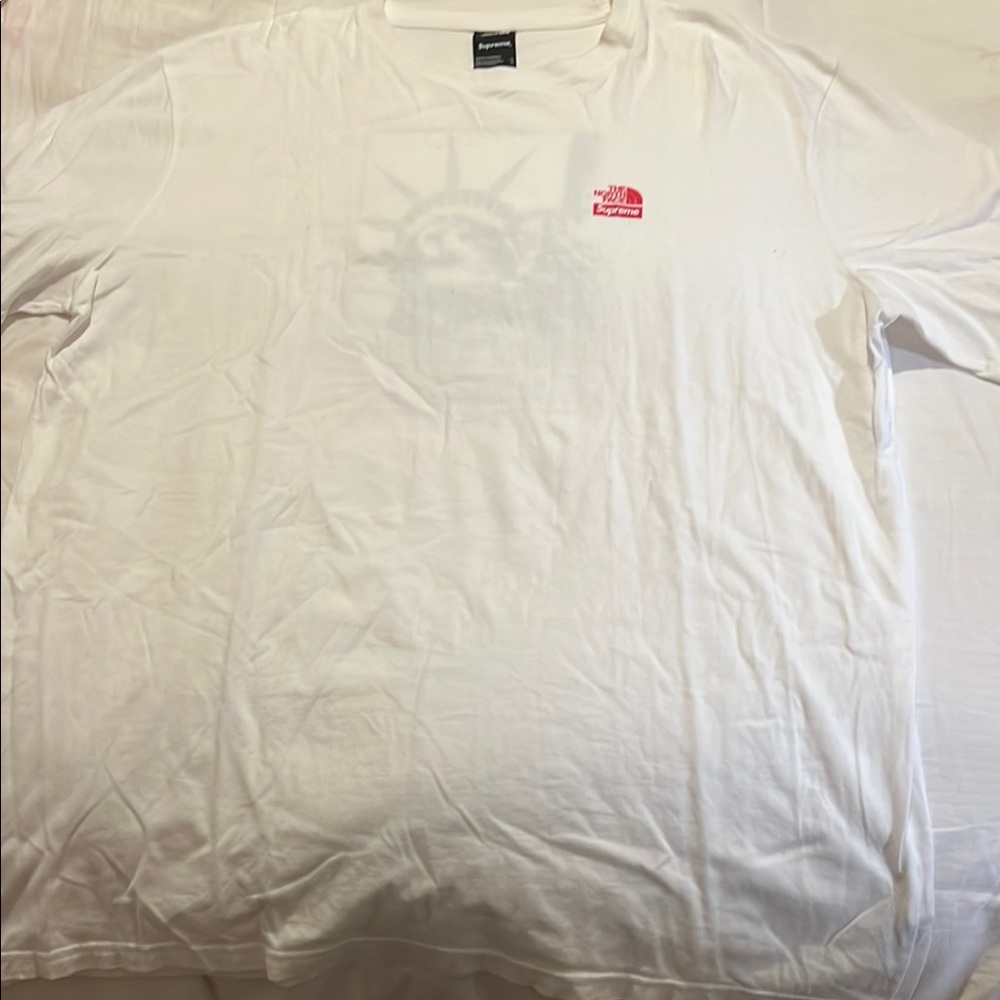 Supreme x The North Face short sleeve colab tee